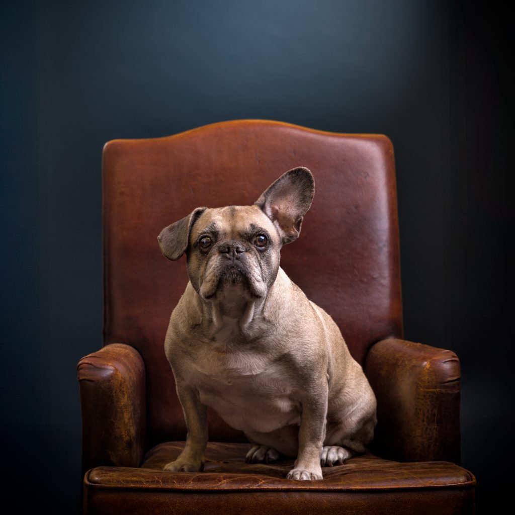 Nel, Chief Morale Officer bij Schravenmade Advocaten
